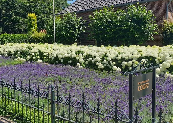 Bed and Breakfast in Doetinchem