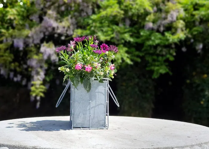 Bed and Breakfast in Rhenen
