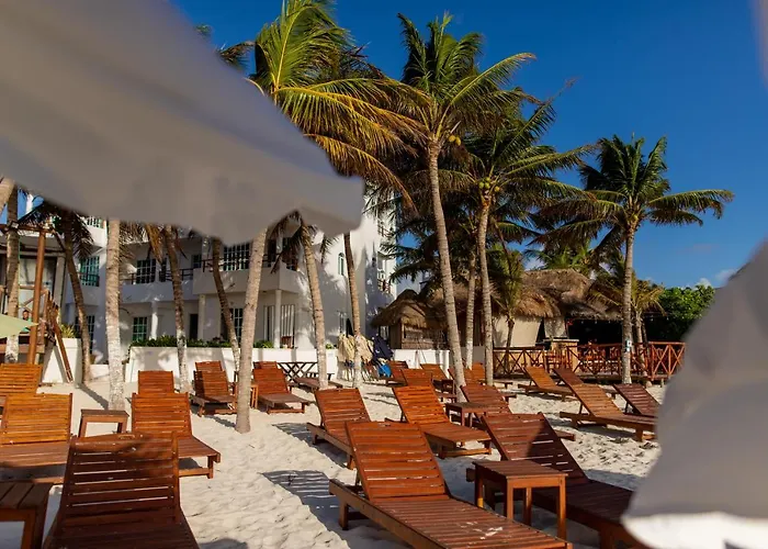 Hoteles Baratos en Puerto Morelos