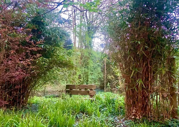 Bed and Breakfast en Cavan