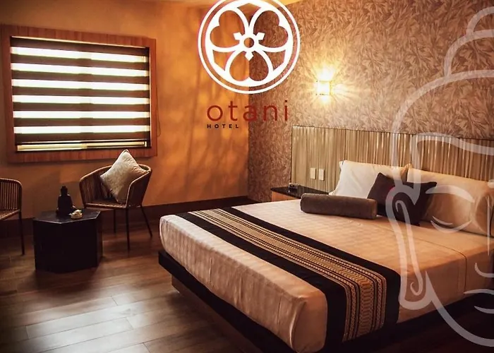 Motels en León