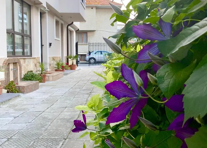 Maisons d'Hôtes à Nessebar