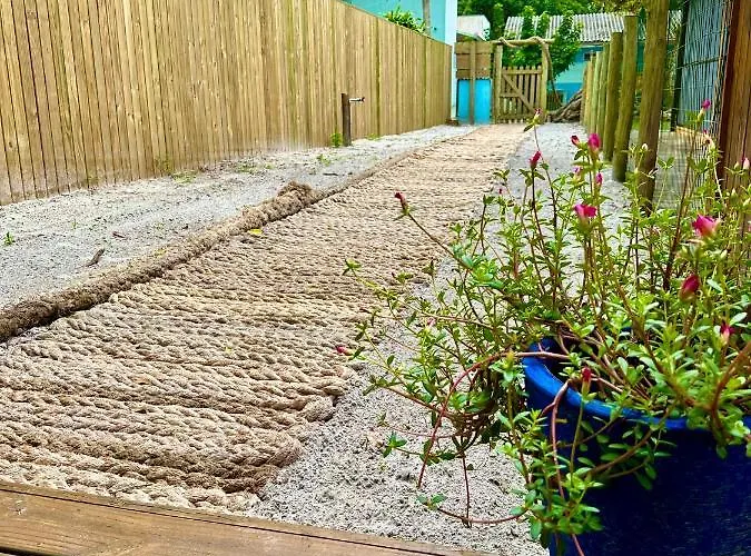 Pensions in Ilha do Mel