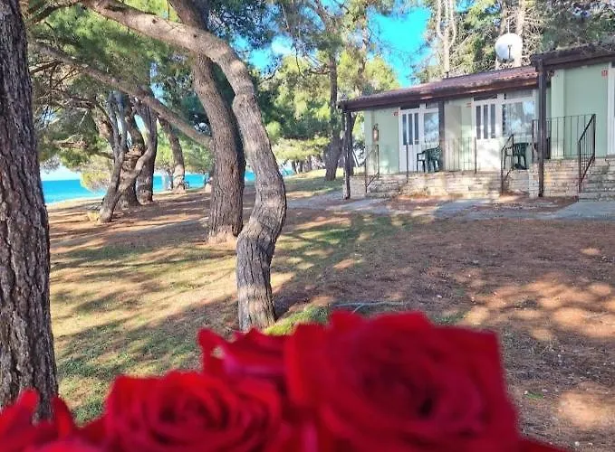 Goedkope Hotels in Novigrad Istria