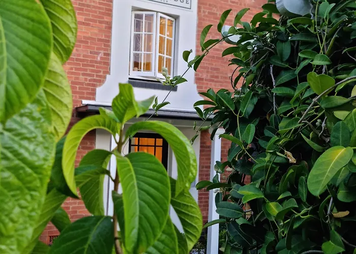 Bed and Breakfast in Brisbane