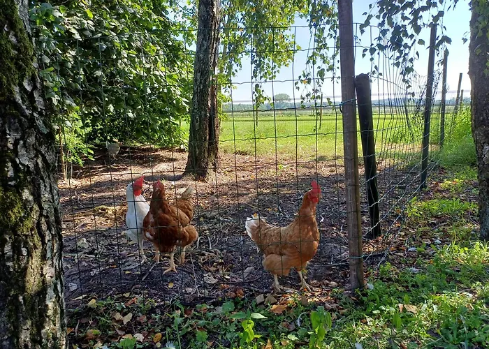 Bed and Breakfast in Reuver