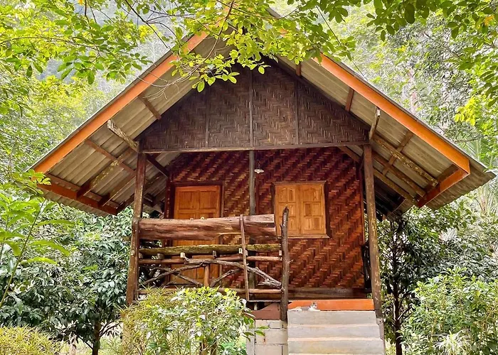 Hotel pas Cher à Khao Sok National Park