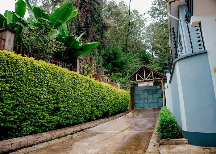 Bed and Breakfast in Arusha
