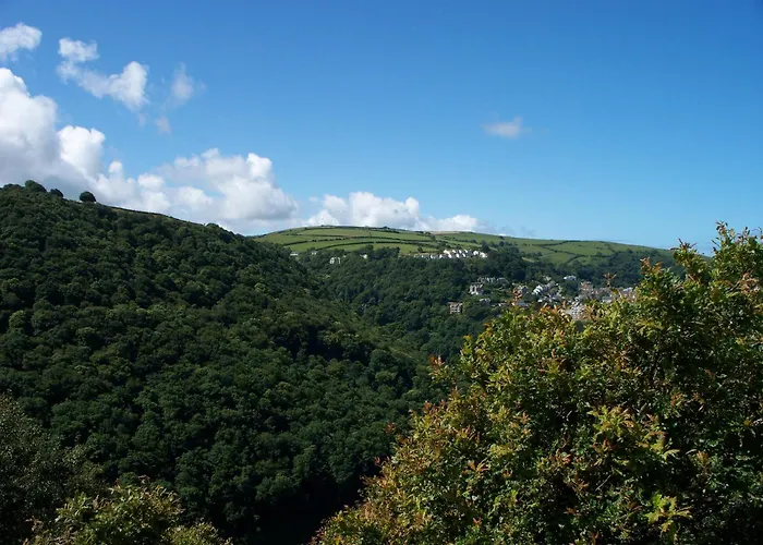 Bed and Breakfast en Totnes