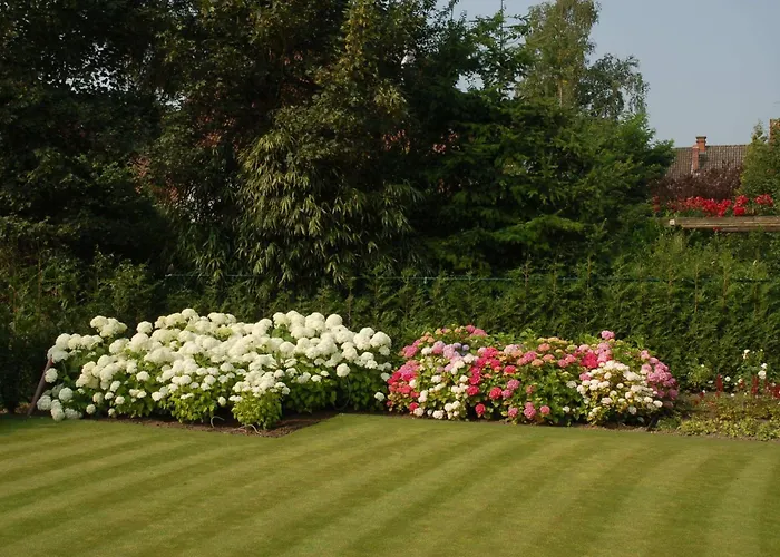 Bed and Breakfast in Kortrijk