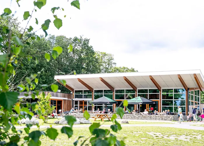Goedkope Hotels in Assen