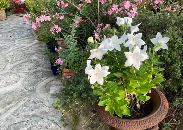 Bed and Breakfast in Gordes