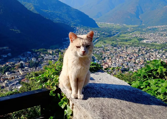 Bed and Breakfast in Chiavenna