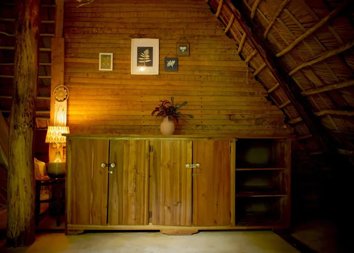 Hoteles Baratos en Samaná