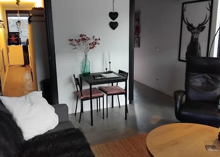 Bed and Breakfast in Ruinerwold