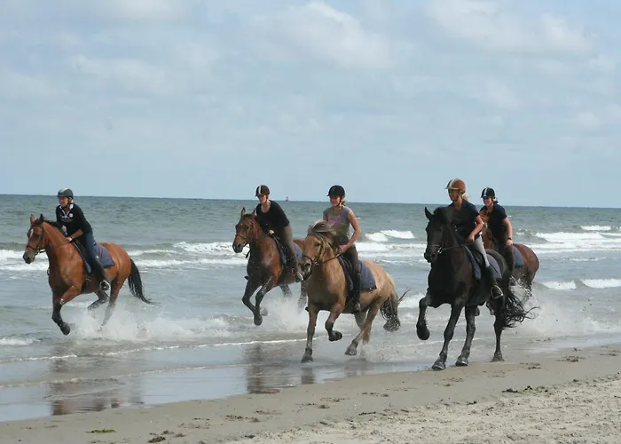 Goedkope Hotels in Vlieland