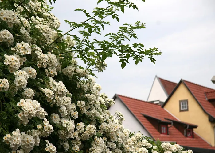 Pensionen in Erfurt