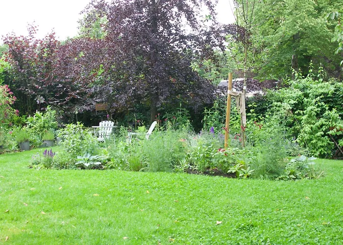 Bed and Breakfast in Wijckel