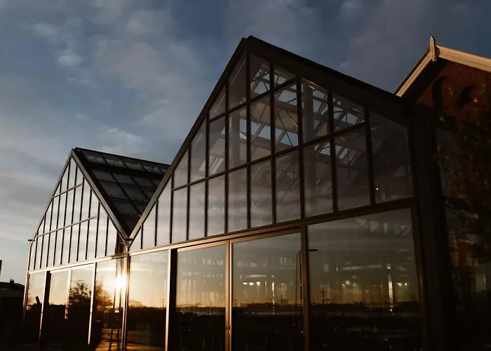 Goedkope Hotels in Hoek van Holland