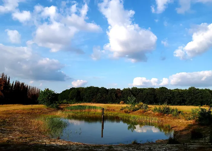 Bed and Breakfast in Veldhoven