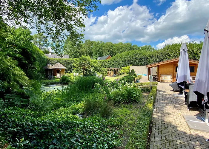 Goedkope Hotels in Ommen