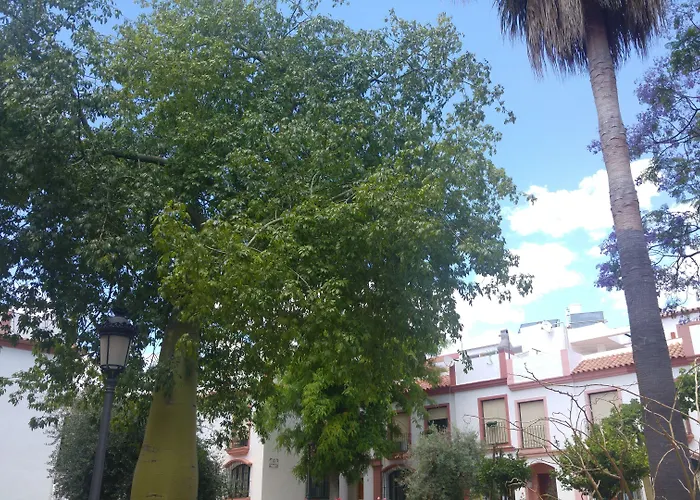 Auberges de Jeunesse à Estepona