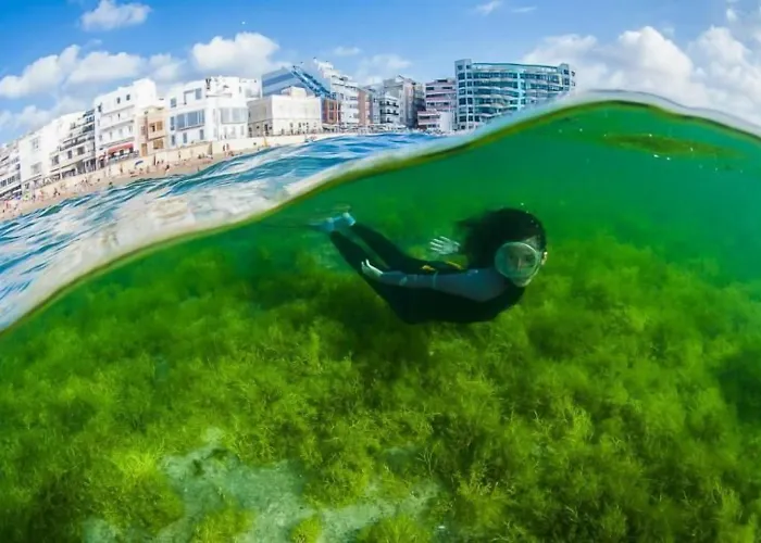 Albergues en Las Palmas de Gran Canaria