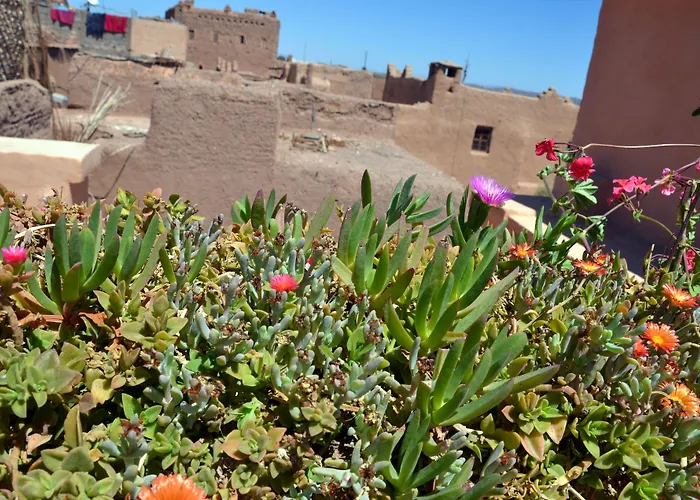 Hotel pas Cher à Ouarzazate