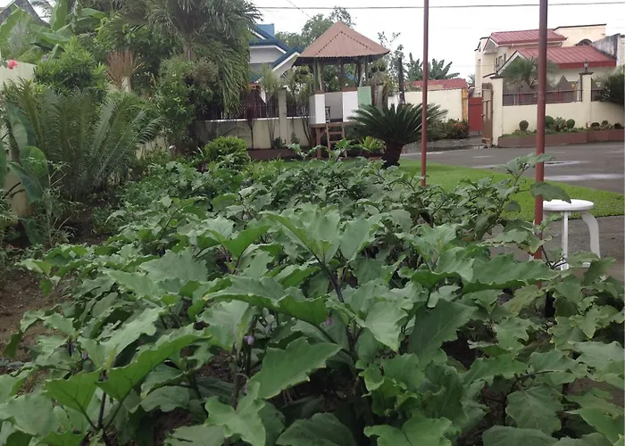 Goedkope Hotels in Tacloban