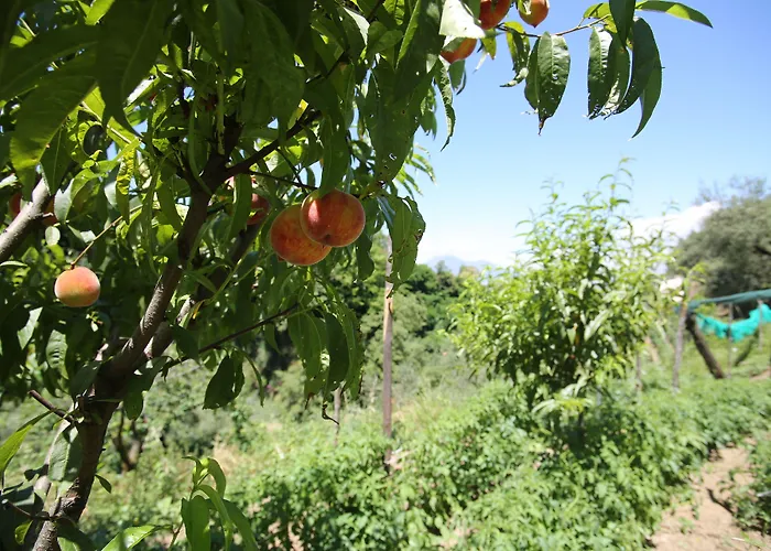 Bed and Breakfast in Castellammare di Stabia