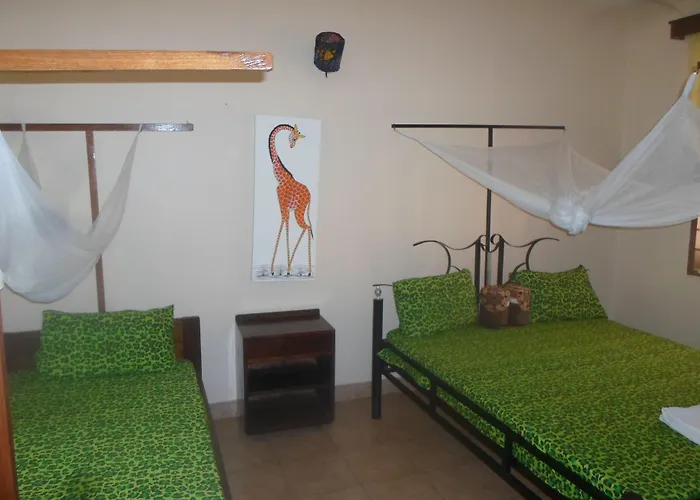 Hostels in Moshi