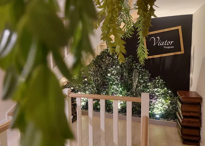 Bed and Breakfast in Tongeren