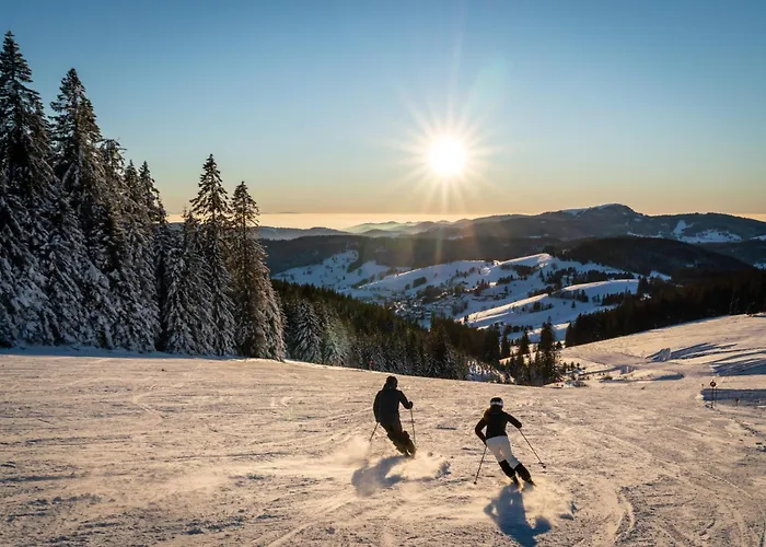 Goedkope Hotels in Feldberg (Baden-Wurttemberg)