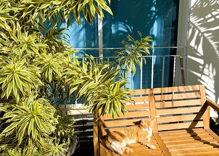 Hostels in Punta Cana