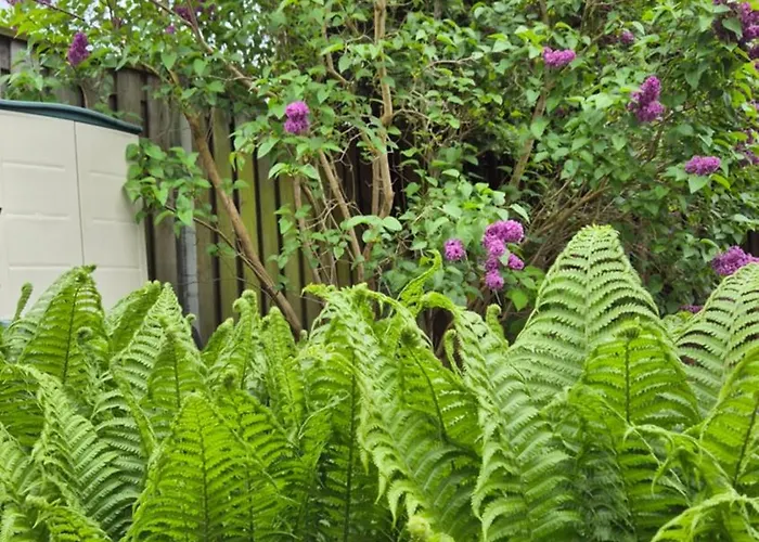 Bed and Breakfast in Emmeloord