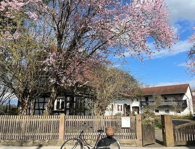 Bed and Breakfast in Freiburg im Breisgau
