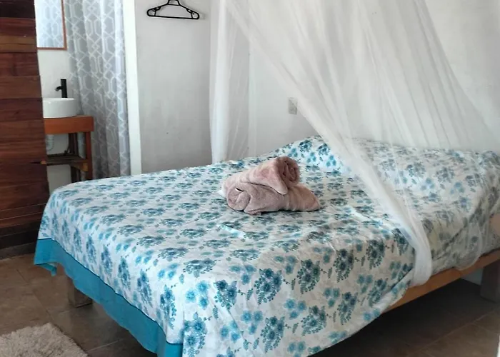 Pensiones en Zipolite