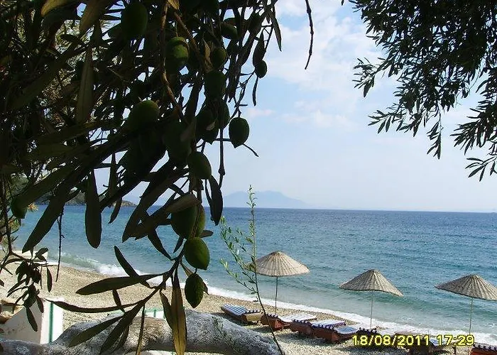 Auberges de Jeunesse à Bodrum