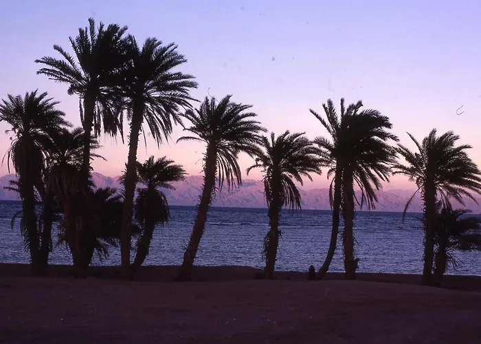 Hostels in Dahab