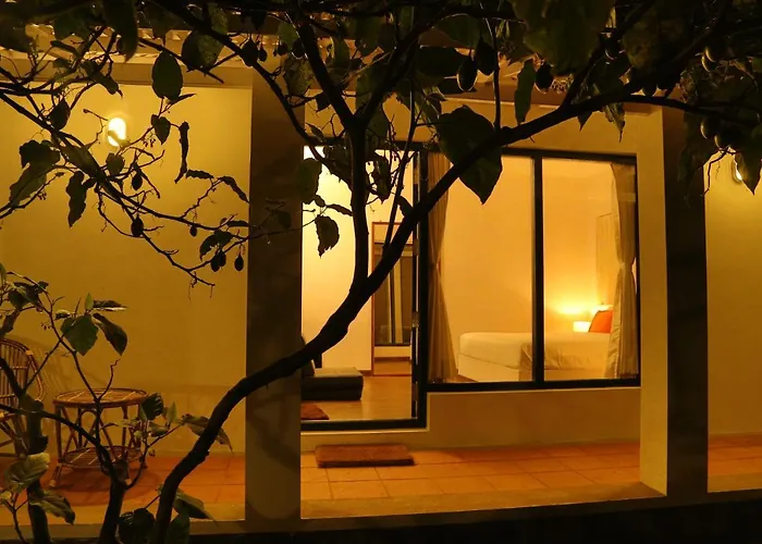 Bed and Breakfast in Udagamandalam