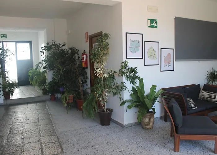 Pensiones en San Pedro de Alcántara