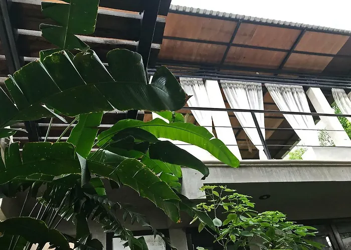 Bed and Breakfast in Valladolid (Yucatan)