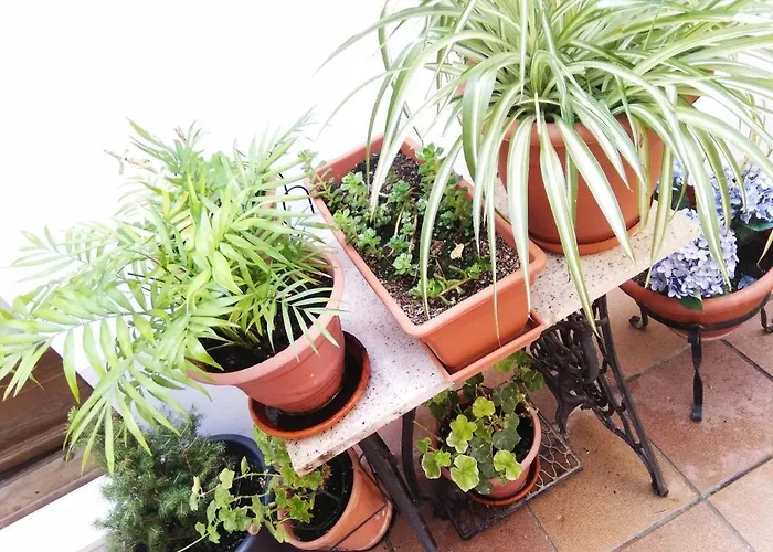 Bed and Breakfast en Cuenca (Castilla-La Mancha)