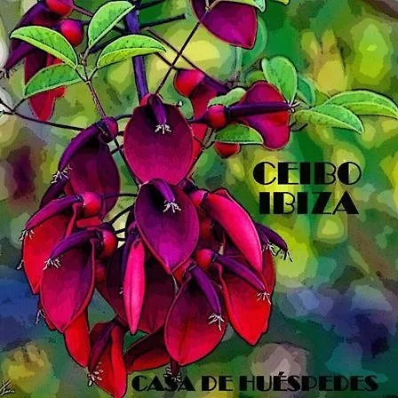 Auberges de Jeunesse à Ibiza